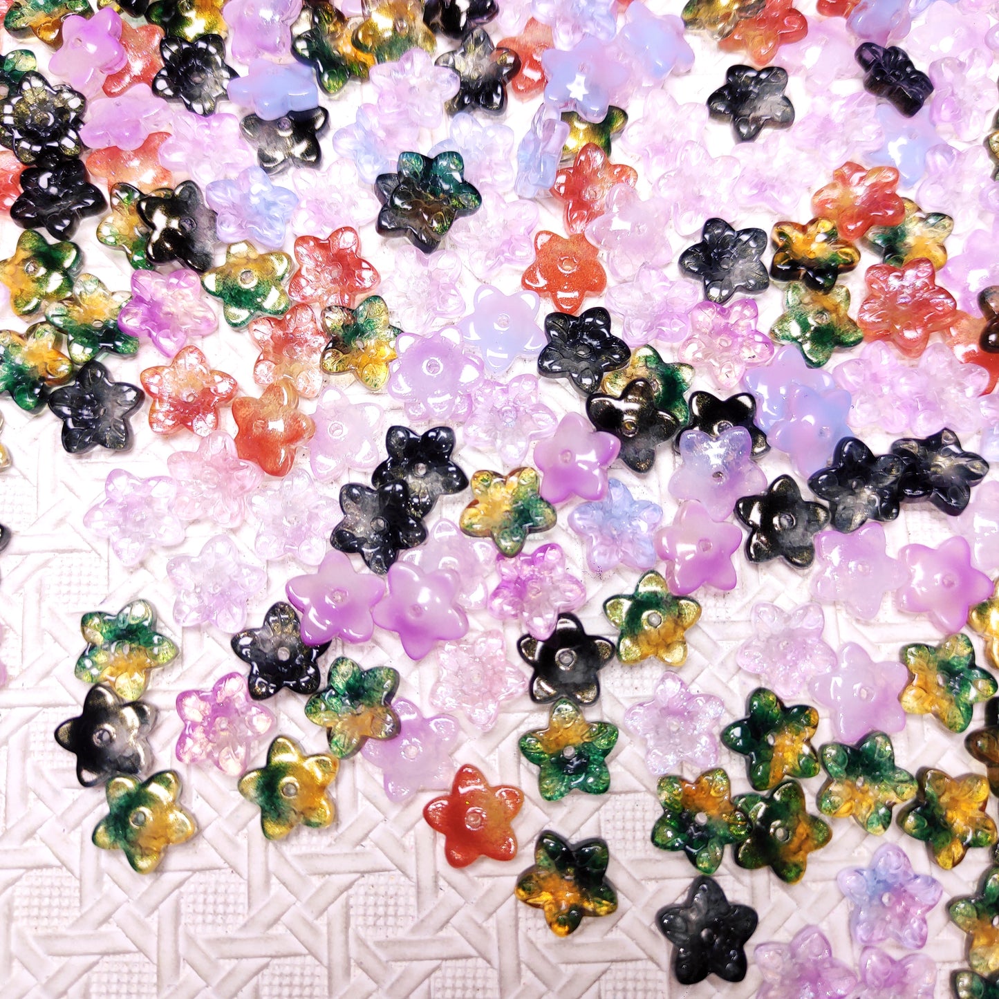 [254]  Glitter Star Flower